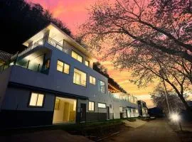 Gapyeong Eco Healing Pool Villa Pension