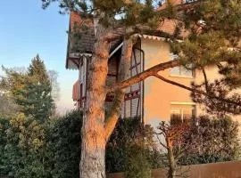 THE VILLA Apartment II