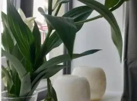 Au PIED de la MER Au COEUR de la station Beau Duplex contemporain tout confort 50m2
