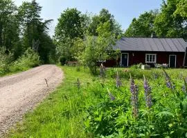 Traditional Swedish House In The Forest