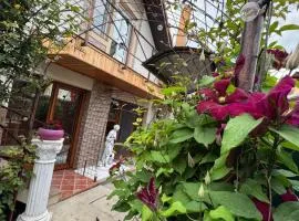 Casa Viselor de vară
