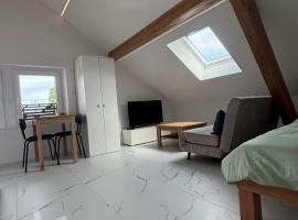 Studio Léo，位于Bôle的公寓