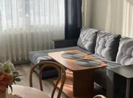 Nijolės apartamentai