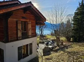 Grand chalet rustique à Gryon, avec vue et cheminée