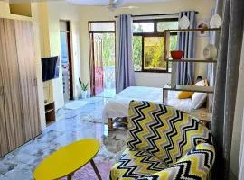 Spacious Studio