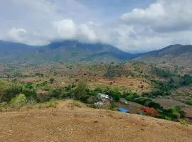 Blue Hills View