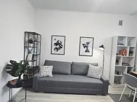 Apartament Elektoralna