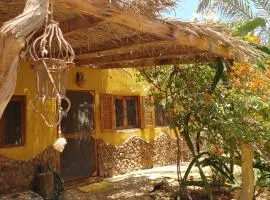 Jillyfish House Dahab - deine Oase in zwei Palmengärten - zentral am 'Lighthouse'