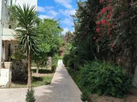 Apartment in Yasmine Hammamet