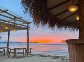 Jungle Gili Air