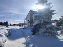 Vila Golijat