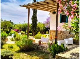 Lemon Tree Cottage