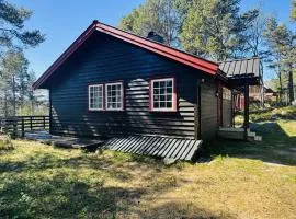 Cozy cabin in Geilo