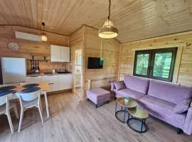 Domki PRZY LEŚNICZÓWCE