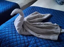 1 Bedroom UlsterApartments