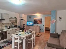 Ferienwohnung Starfish Apartment