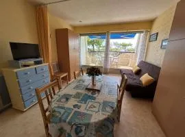 Charmant studio rénové à 50m de la plage avec terrasse et parking - FR-1-224C-82