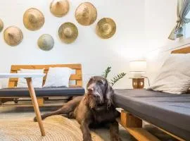 KAHILOM Nest Self-Service Home in Rainforest Nest with Kitchen - Pet Friendly, Monkeys, Bats!