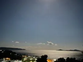 Blue Horizon