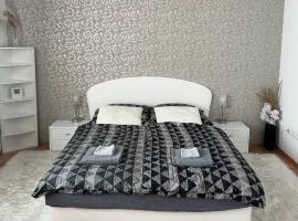 Cozy apartment near hockey & football arena