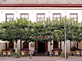 Hotel de Lantscroon, hotel v destinaci s-Heerenberg