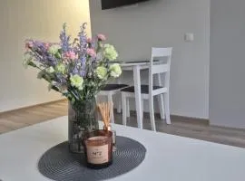 Kaunas City Apartment