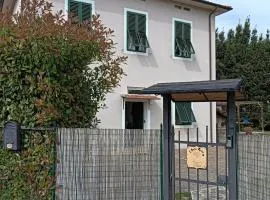 L'Acero Rosso