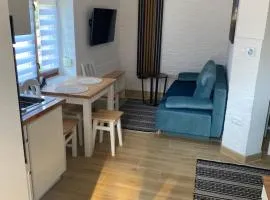 Apartament Górska Kryjówka