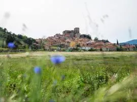 Pure Canigou House An Authentic and Charming Town house with 3 bedrooms