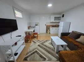 Apartman Knez 1