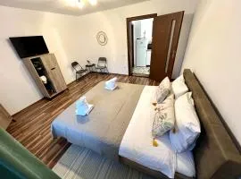 S-HOUSE Avrig - Casă de vacanță cu terasă privată și parcare
