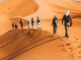 Tasnim Désert Camp & Activités