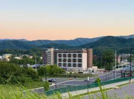 Drury Plaza Hotel Pigeon Forge