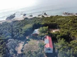 Apartments by the sea Cove Kurila, Losinj - 24571