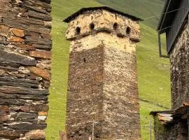 Nizharadze's Tower