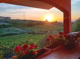 Poggio agli Ulivi vicolo di Colle Reti 22 Frascati