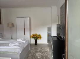 AME Home, hotel in Ocna Mureş