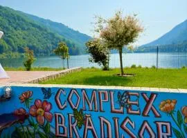 Complex Brădișor