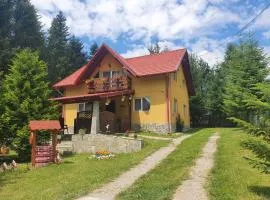 Casa din Padure Valea Doftanei