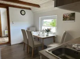 NEU! Ferienhaus Assing am Deich