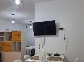 Amoblado Carlos I