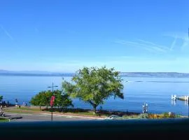 Spacieux appartement à Évian, proche centre et lac, pour 5 personnes, animaux acceptés - FR-1-498-7