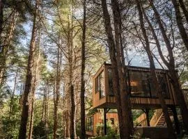 Burrenmore Nest - Luxury Forest Lodges with Hot Tubs & Sauna