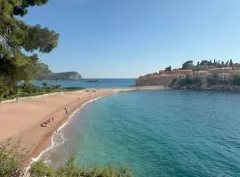 Mind Wellness Montenegro