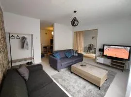 2-room apartment, individual garage, close to train station
