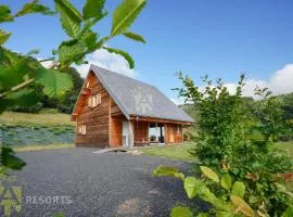Chalet Dragon