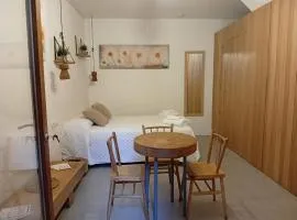 Ánimas, elegantes pisos en el centro histórico