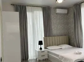 Shine Hill შაინ ჰილი