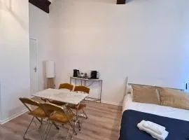Appartement - Albi Cathédrale