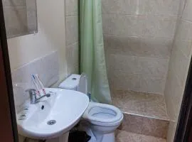 Zamona